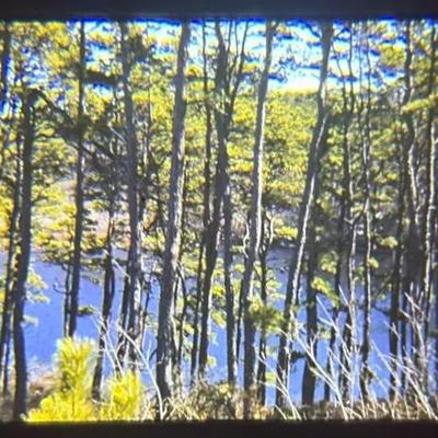 Original Slide Likely of the Potomac River - 1940s-50s