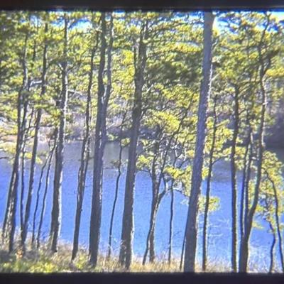 Original Slide Likely of the Potomac River - 1940s-50s