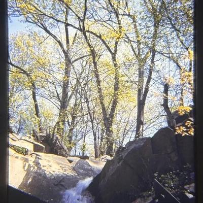 Original Slide of the Potomac River Bank - Spring 1944