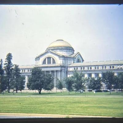 Original Slide of the Smithsonian Zoological Museum - Washington D.C. - 1943