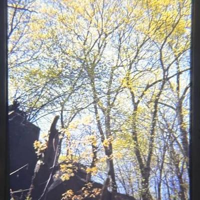 Original Slide Near the Potomac River - Washington D.C. - Spring 1945