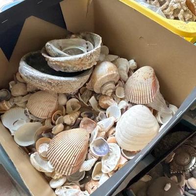 Sale Photo Thumbnail #382