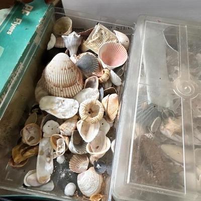 Sale Photo Thumbnail #383