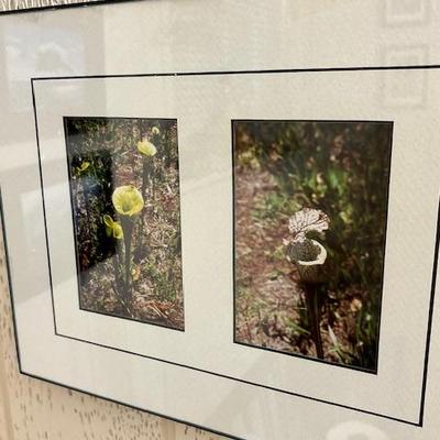 Sale Photo Thumbnail #304