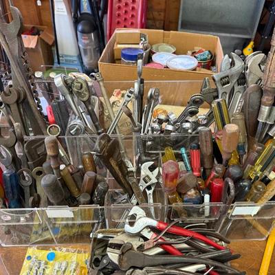 Sale Photo Thumbnail #312