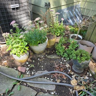 Sale Photo Thumbnail #59