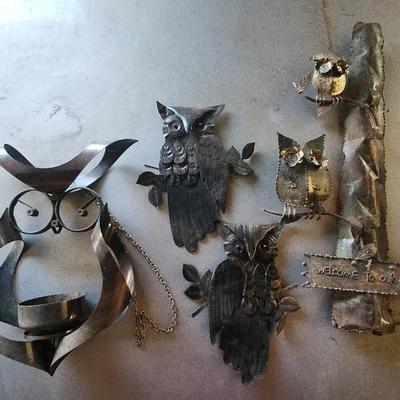 Owl Collection 