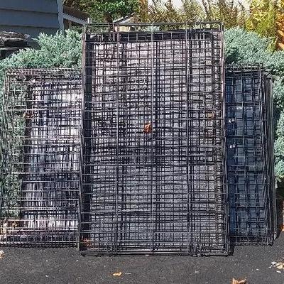 Two Cages