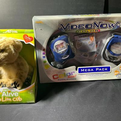 Alive Lion Cub And Video Now 
