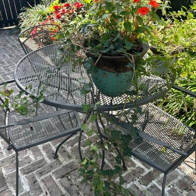 Sale Photo Thumbnail #237: Lovely pottery planter with plant. 