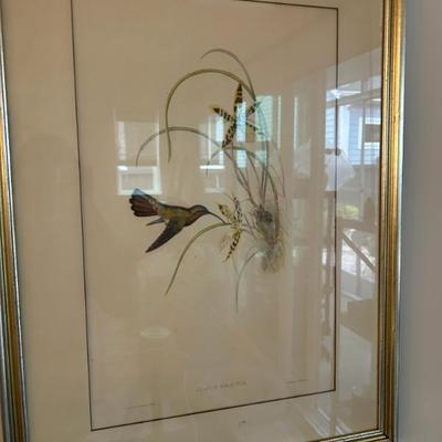 Sale Photo Thumbnail #42: J. Gould and HC Fichter, del et tith. Hummingbird Lithograph.