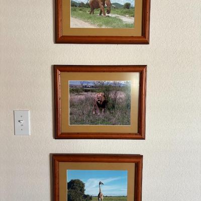Sale Photo Thumbnail #34