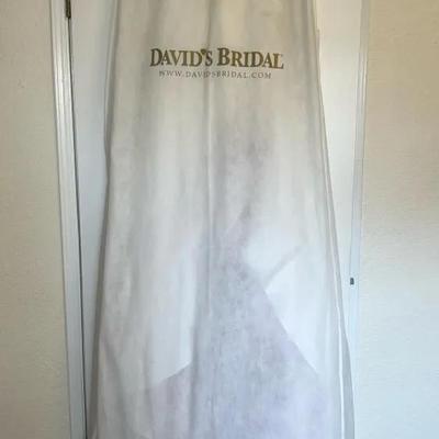 Never Worn David’s Bridal Strapless Organza Wedding Dress And Lace Elegance Bridal Garter Set