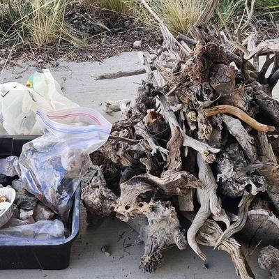 All Natural Crafting: Hummingbird Nest, Shells, Gnarly Wood and More