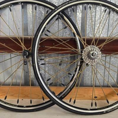 Toplino Bike Tire Frames 25"