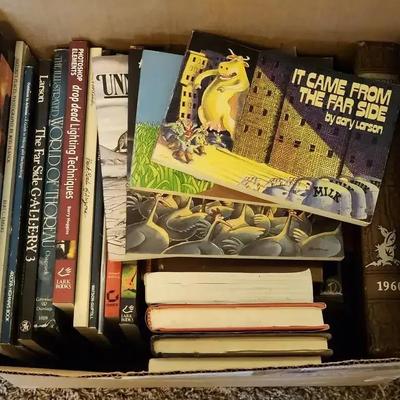 Mystery Lot of Books 