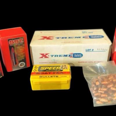 Ammo Lot 2 