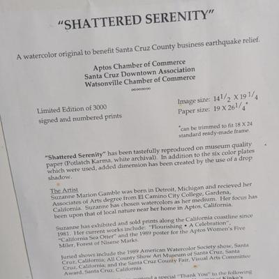 Sale Photo Thumbnail #66: Shattered Serenity by Suzanne Marion Gamble 