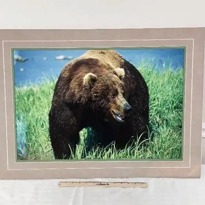 Sale Photo Thumbnail #102