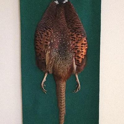 Pheasant on Felt (FR) 