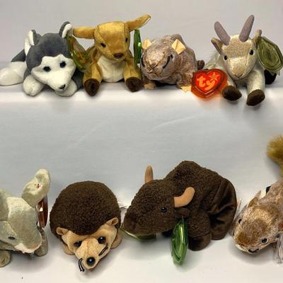 Regular Size ty Beanie Babies: Roam, Nanook And More