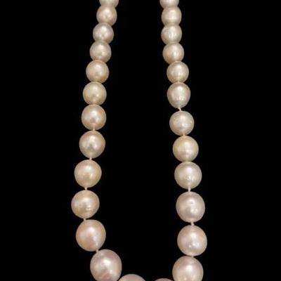 Golden South Sea Pearls - 14 & 15mm, 18”