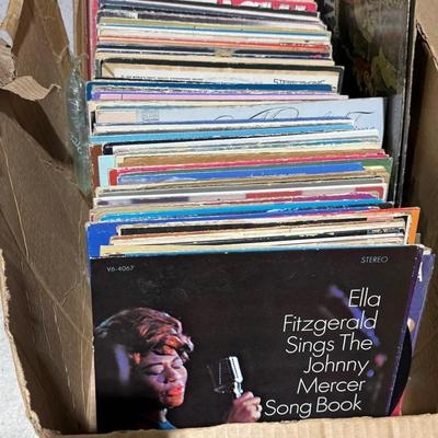 Xl Large Bulk Vinyl Mystery Box 