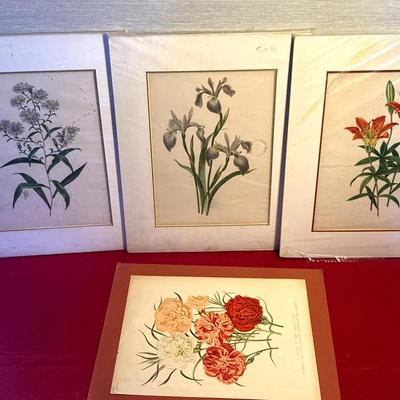 4 Vintage Floral Botanical Prints