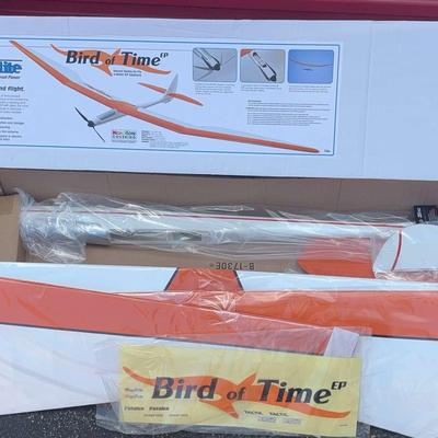 Bird Of Time AR/ RC Plane