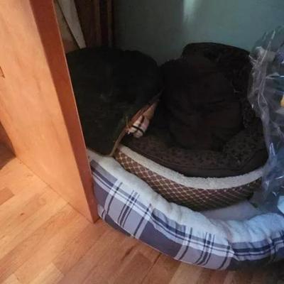 4 Dog/Pet Beds