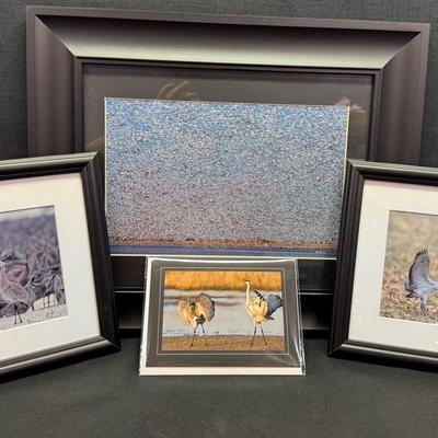 DMA500 -  Crane Hill Photographs - Rick Rasmussen
