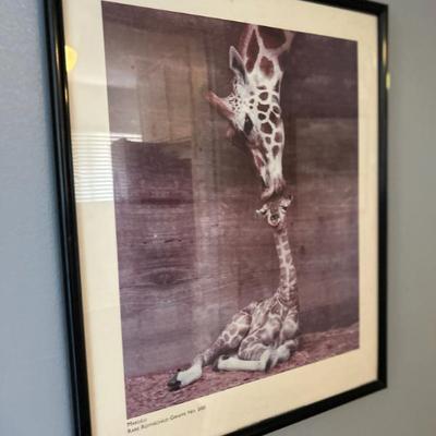 Sale Photo Thumbnail #71