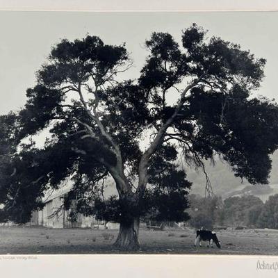 Sale Photo Thumbnail #192
