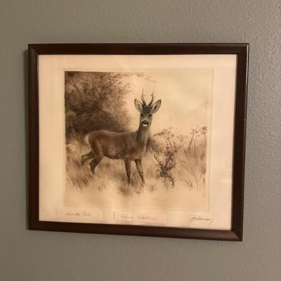 Sale Photo Thumbnail #443