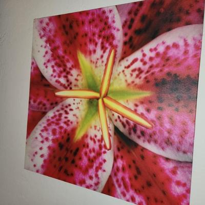 Sale Photo Thumbnail #49
