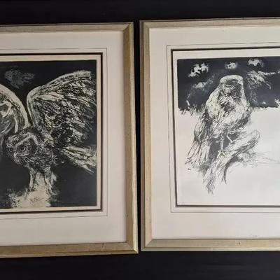 Hawk & Owl In Flight