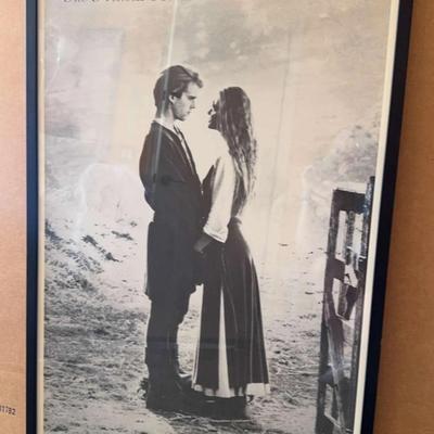 The Princess Bride Framed Poster