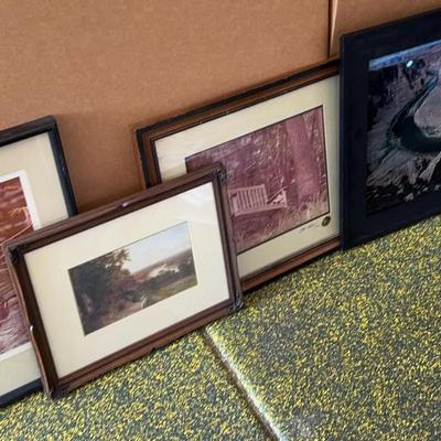 Set Of 4 Framed Photography Art Prints - Antelope Bend AZ, Ducks 