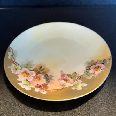 Epiag Antique Czech Plate Signed By Ashworth