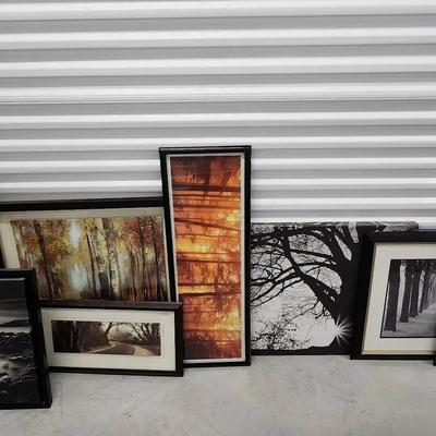 Tree Art & Landscape - Photographs And Prints