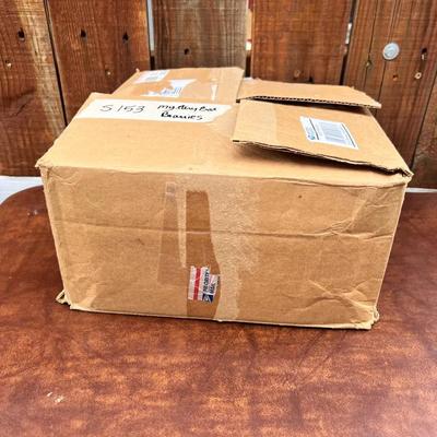 Mystery Box Beanie Babies
