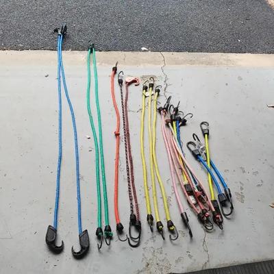 Bungee Cords 