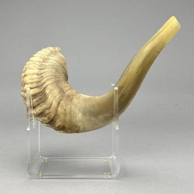 Sale Photo Thumbnail #580