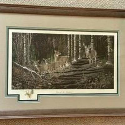 Sale Photo Thumbnail #20