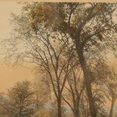 Sale Photo Thumbnail #289