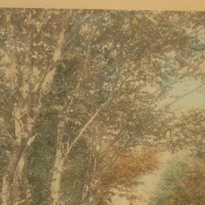 Sale Photo Thumbnail #245