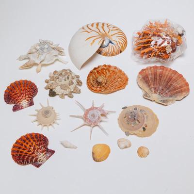 Sale Photo Thumbnail #134