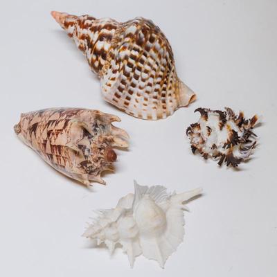 Sale Photo Thumbnail #135