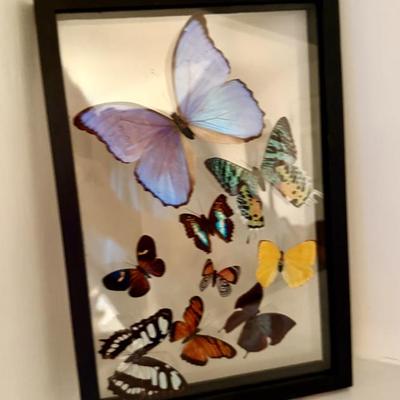 Sale Photo Thumbnail #68