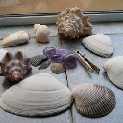Sale Photo Thumbnail #133